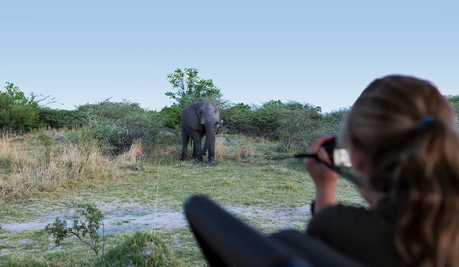 Tanzania Luxury Safari Cost