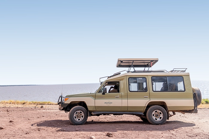 Tailor-Made Adventures