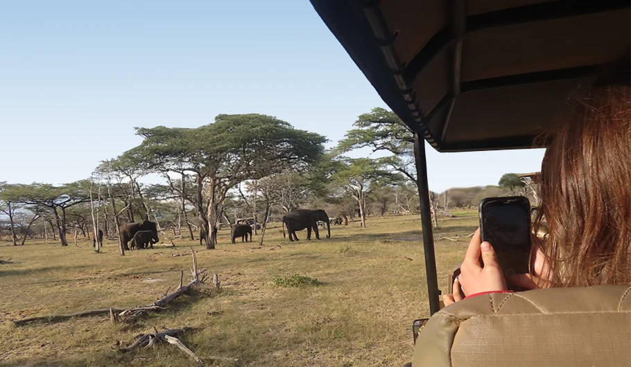 Safari Tanzania Price