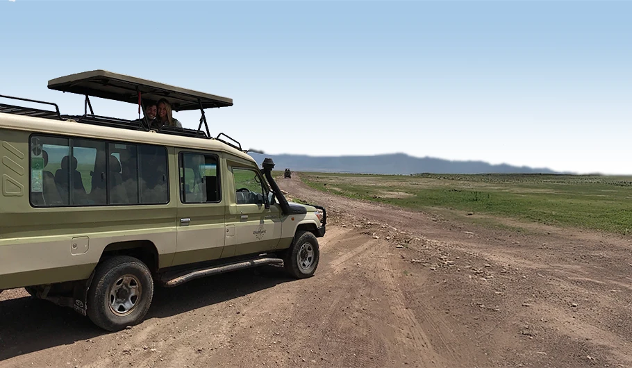 Tanzania Private Safari Cost