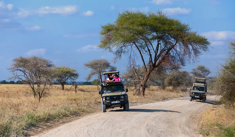 Tanzania Safari Cost
