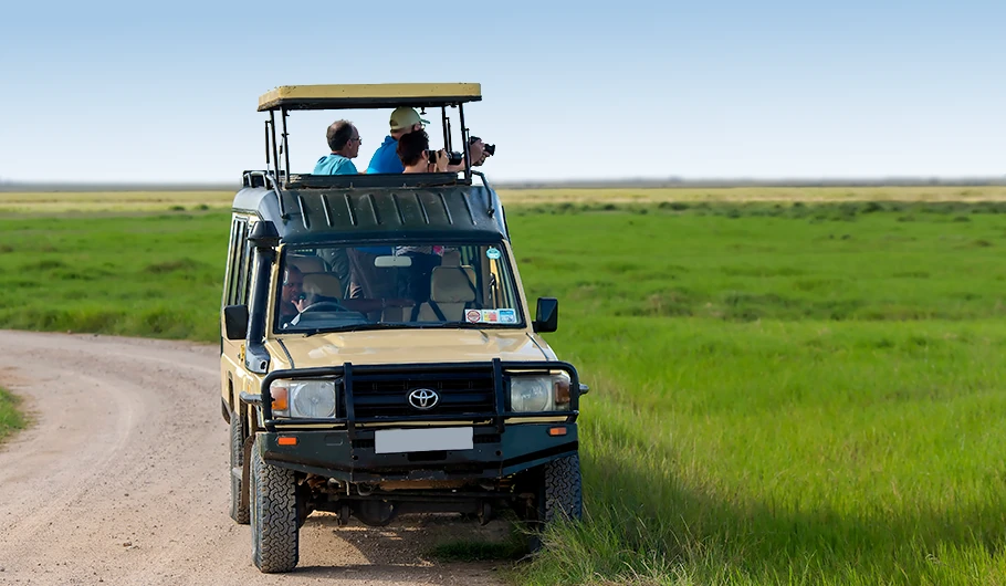 Private Tanzania safari game drive in Serengeti with 4x4 Land Cruiser
