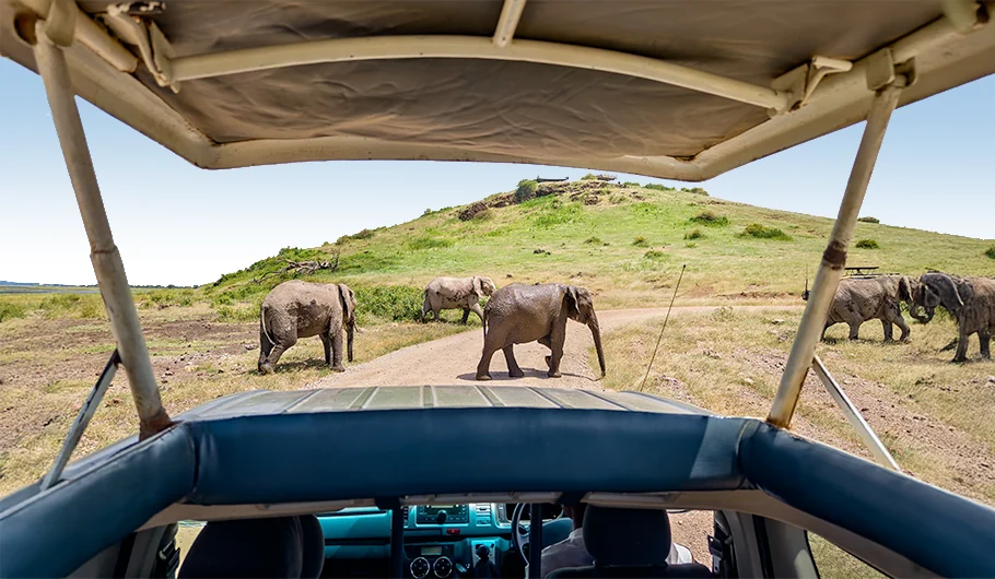 Luxury Safari Tanzania Cost