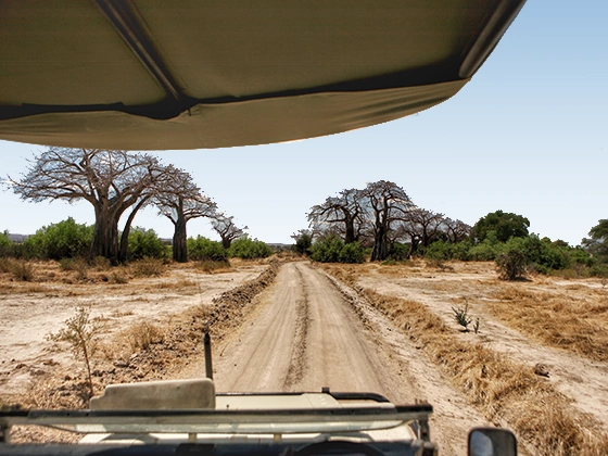 13 Days Ultimate Southern Tanzania Safari