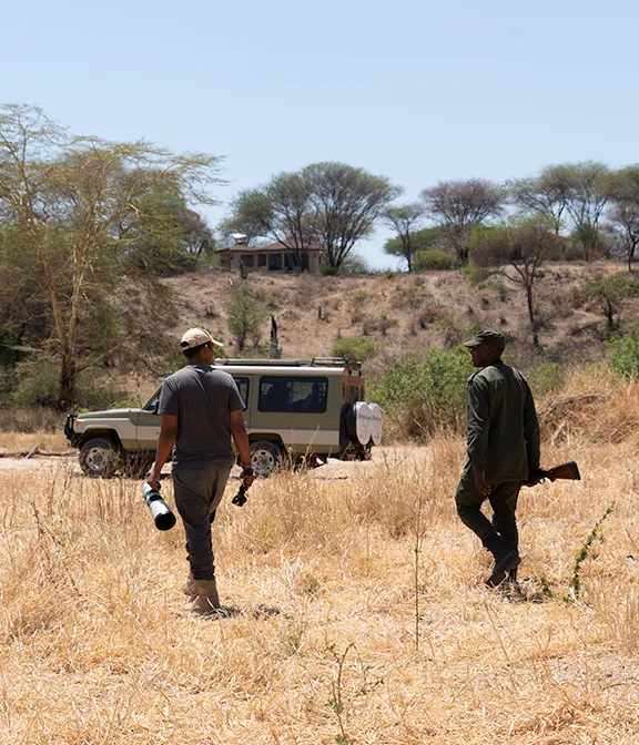 Tanzania Safari Cost