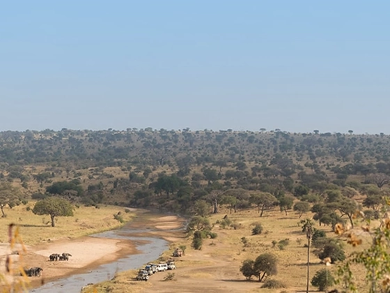 9 Days Western Tanzania Safari