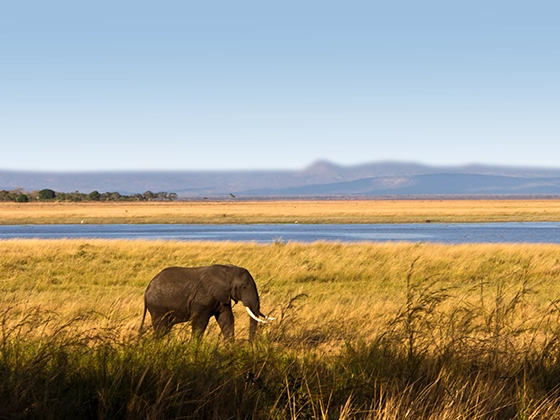 9 Days Western Tanzania Safari