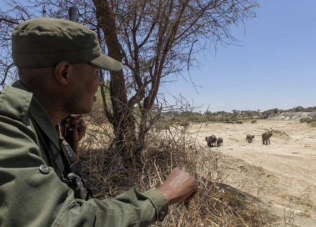 8 Days Tanzania Classic Safari