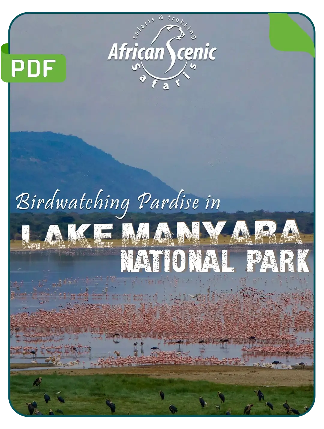 Lake Manyara National Park PDF