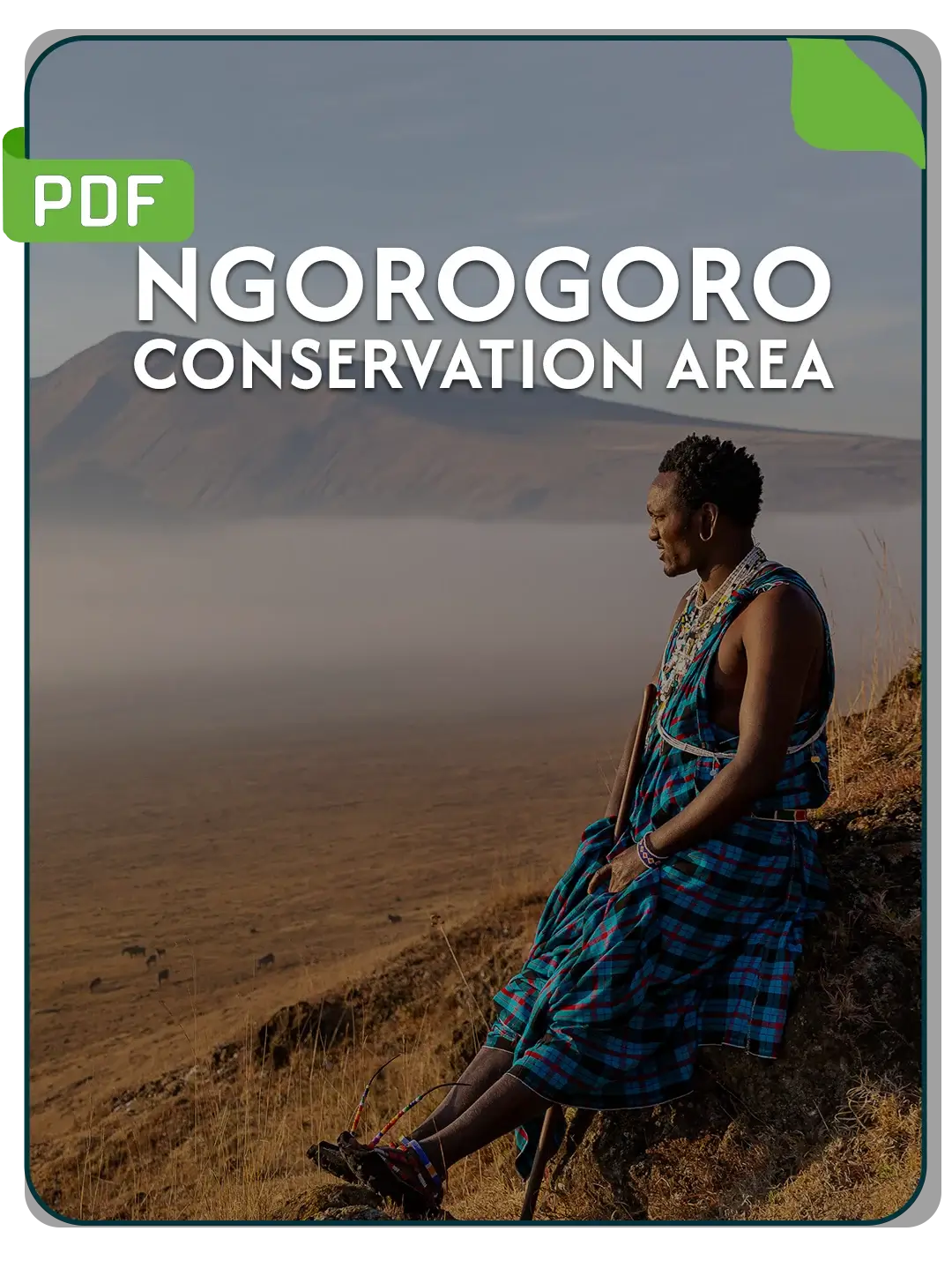 Ngorongoro Conservation Area PDF