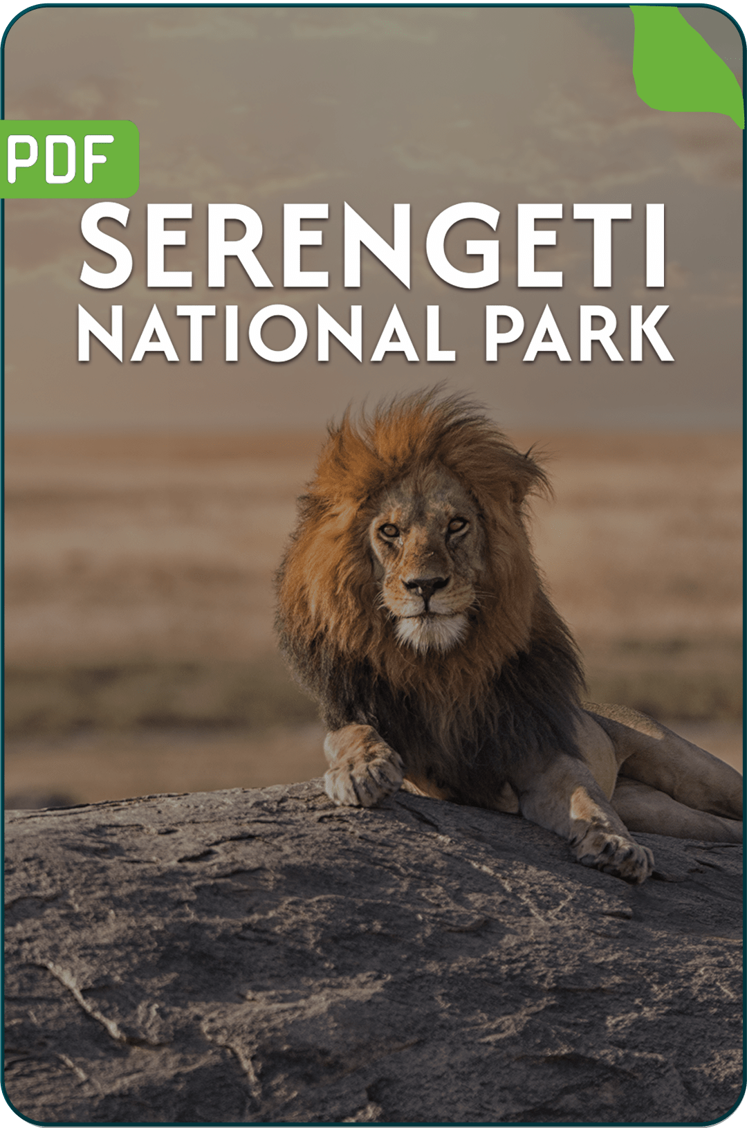 Tanzania Safari Packing List