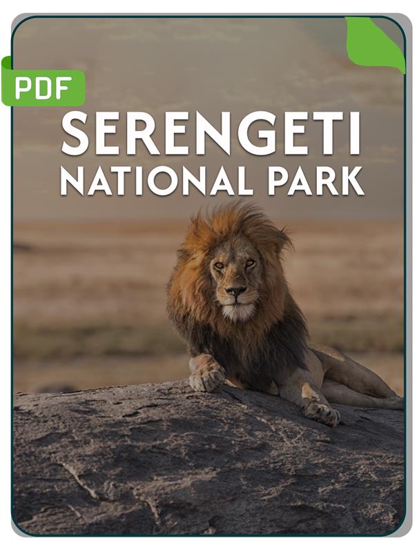 Serengeti National Park Guide
