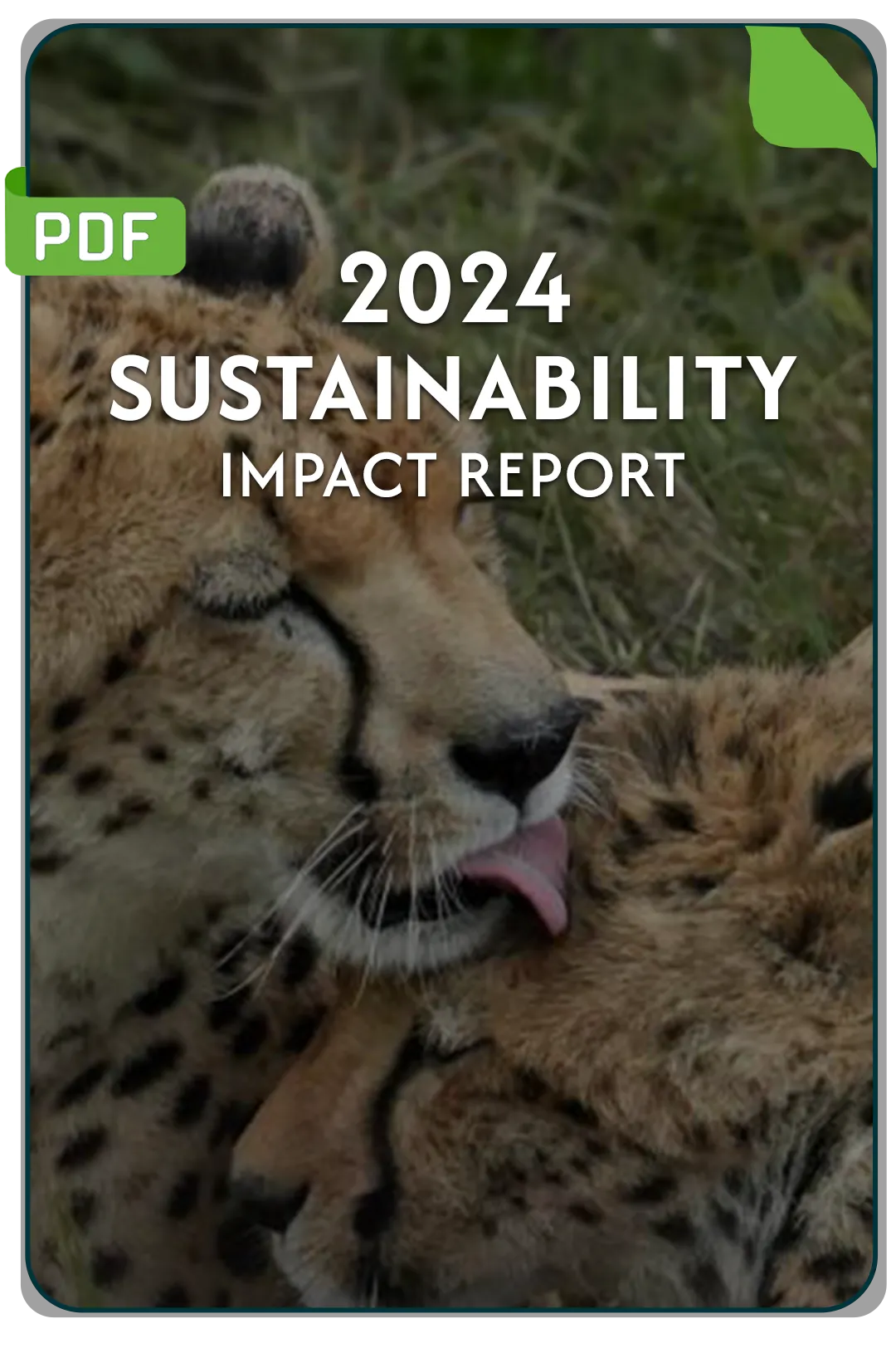 Sustainable Tanzania Safari