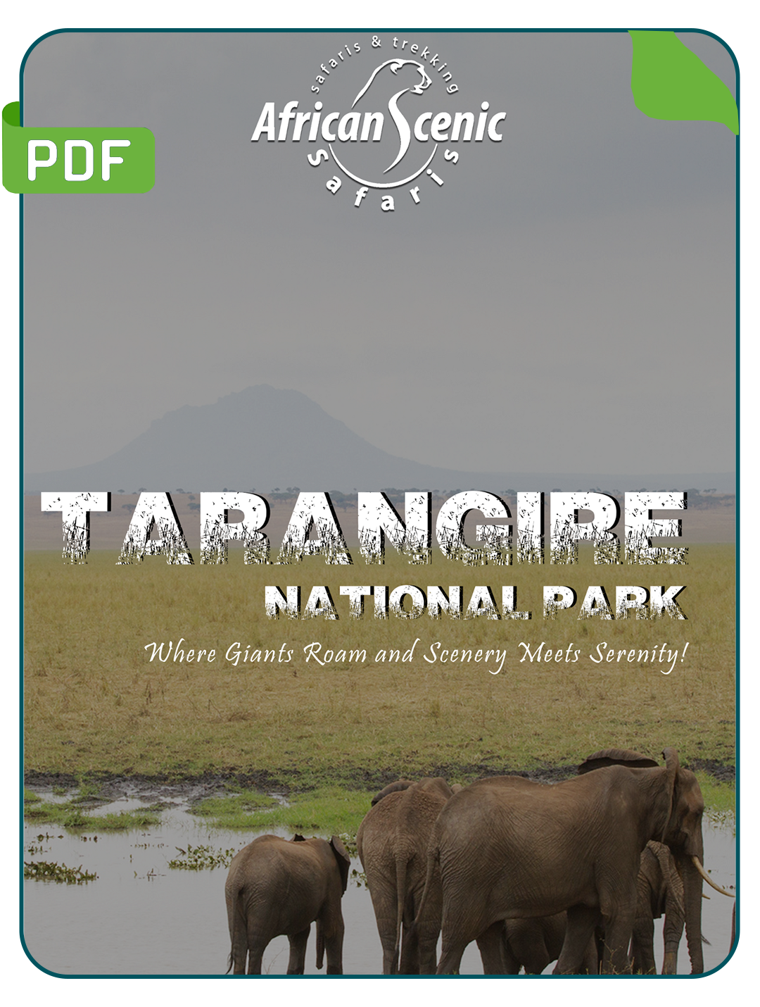 Tarangire National Park PDF