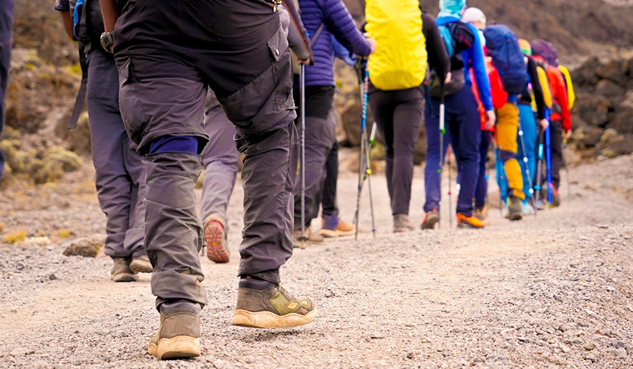 Perfect Kilimanjaro Climb