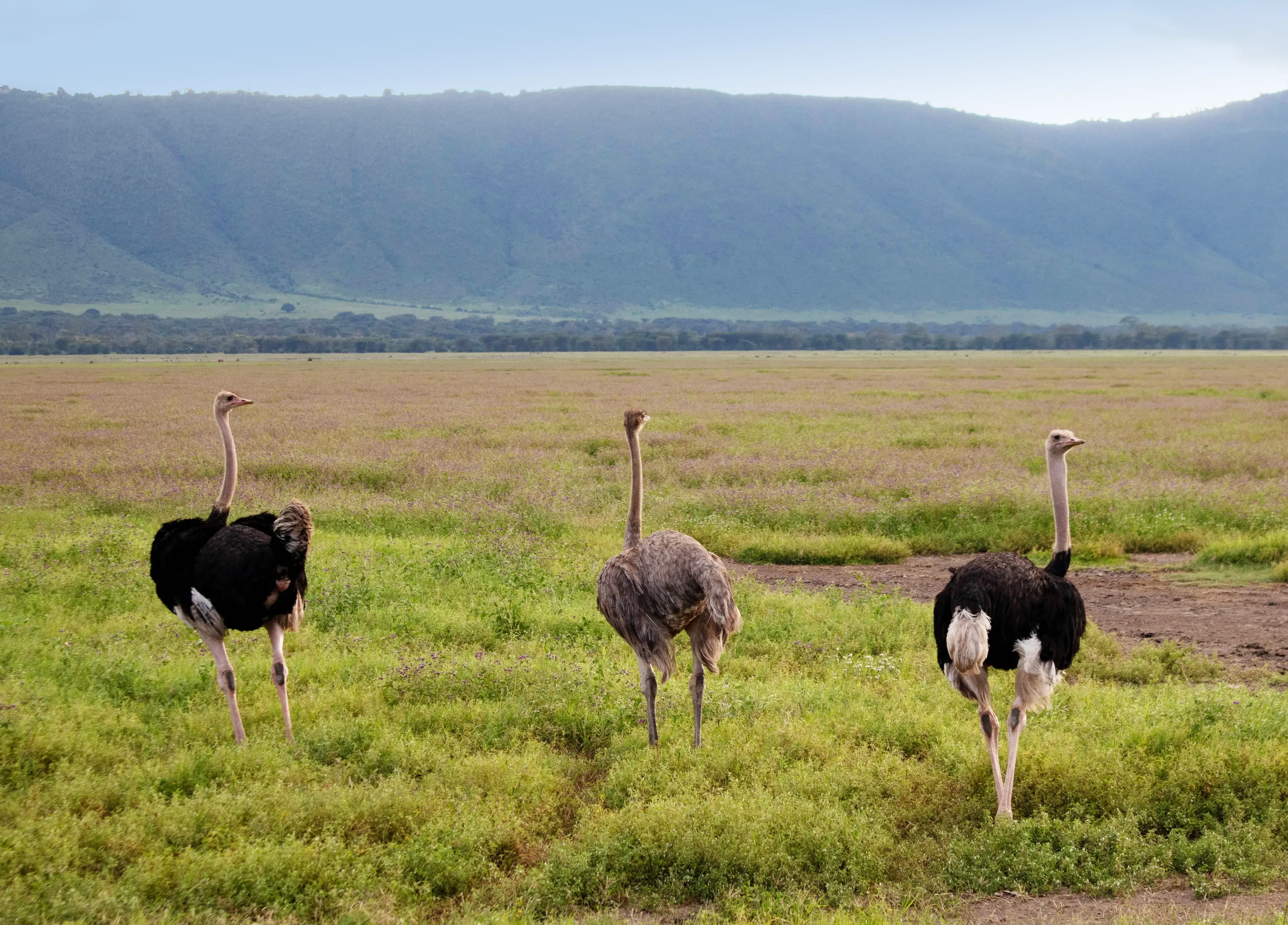 Best Time To Visit Tanzania