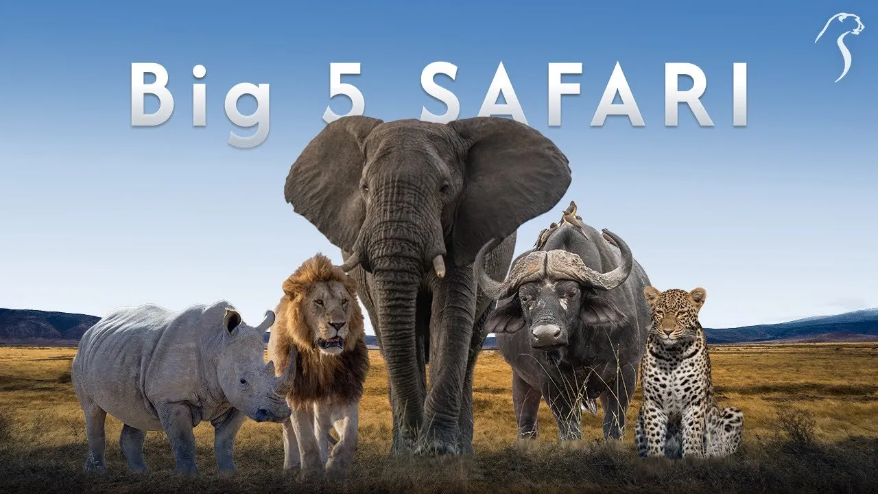 Tanzania Big Five Safaris