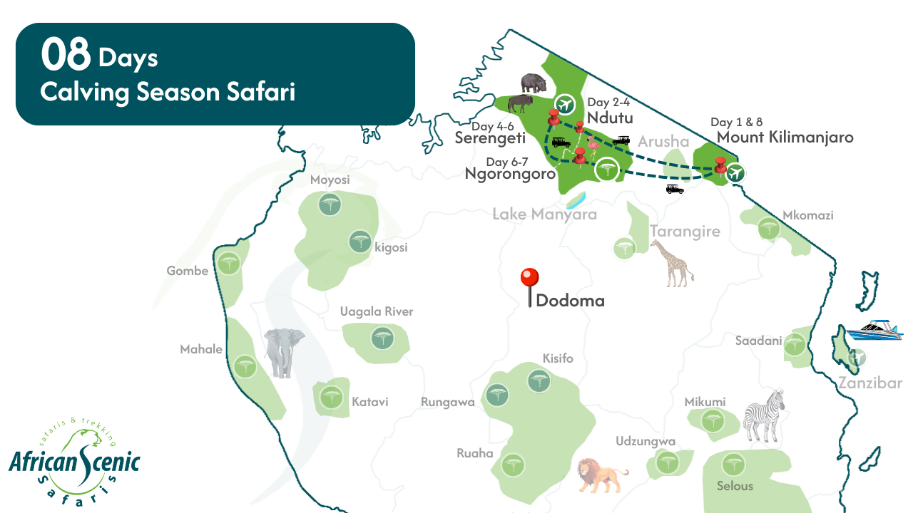 8 Days Calving Season Safari