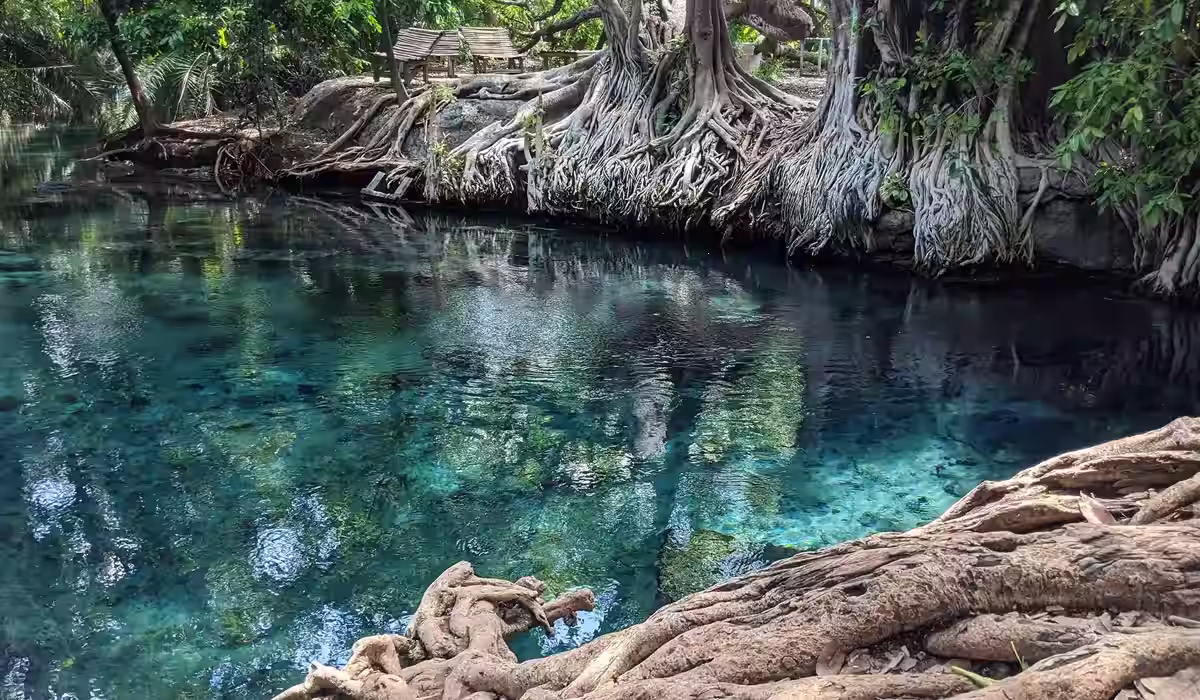 50 Things To Do In Arusha