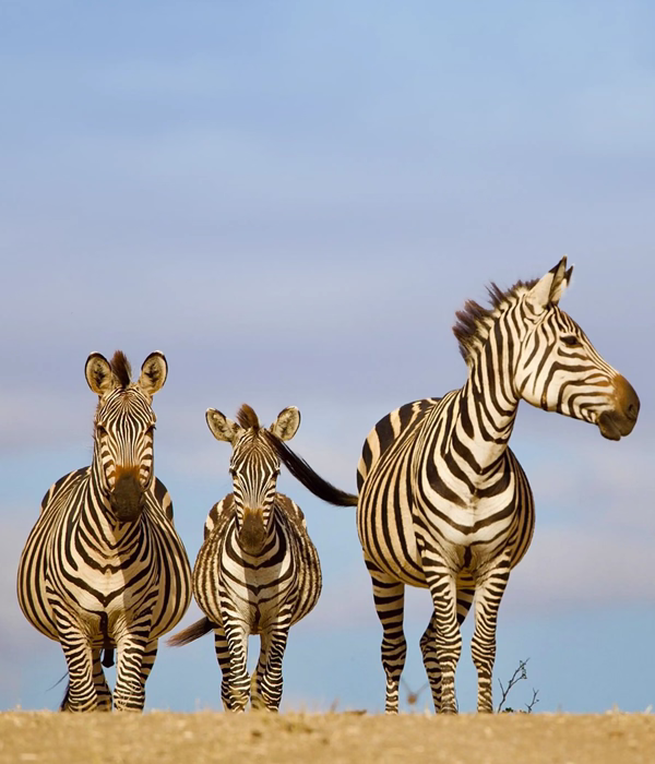 13 Days Cultural Wildlife Hiking