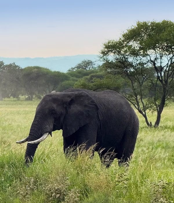 13 Days Cultural Wildlife Hiking