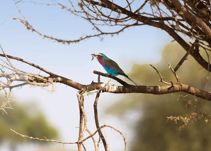 Top 10 Things To Do In Arusha