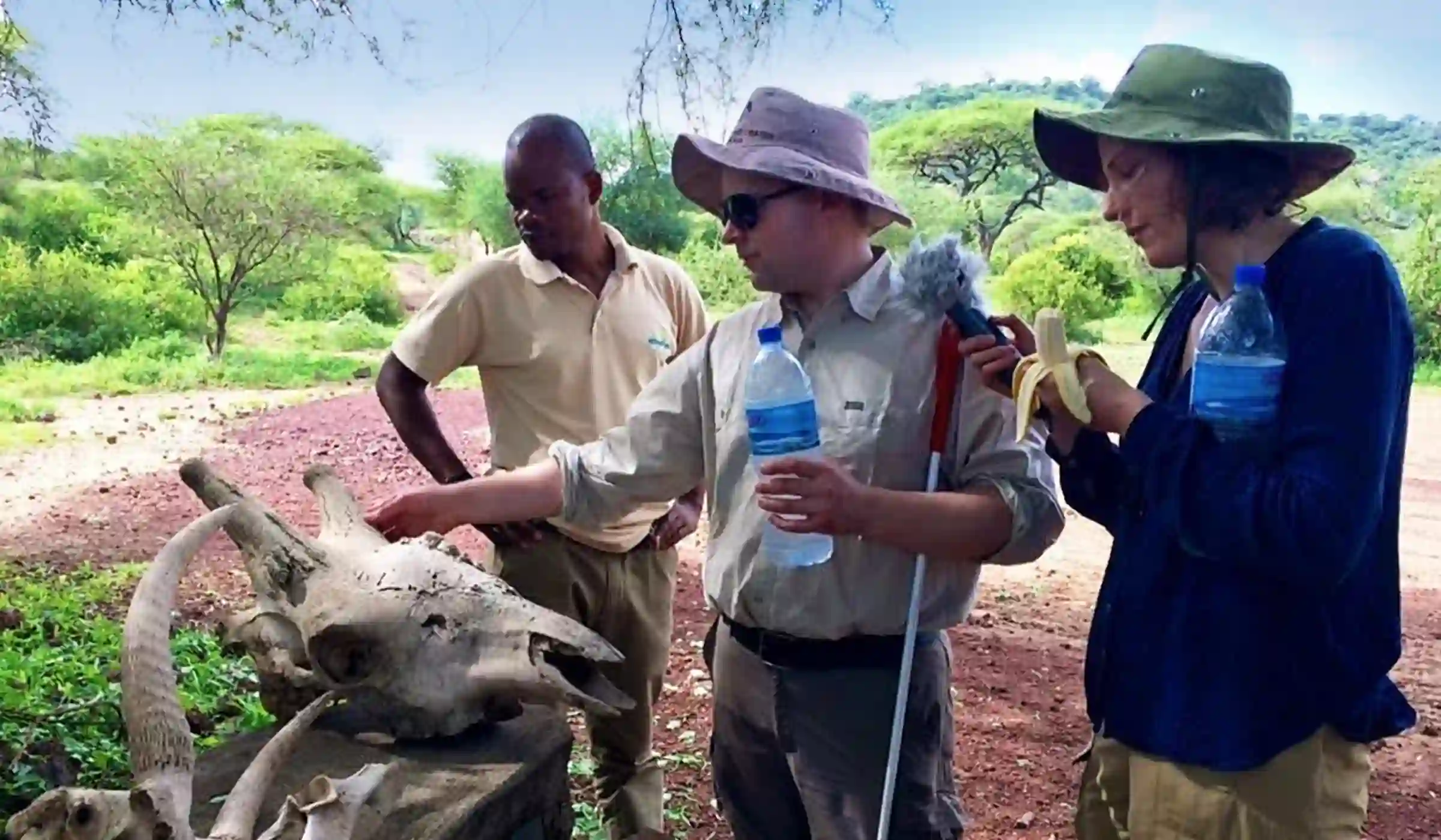 Tanzania Safari Packages