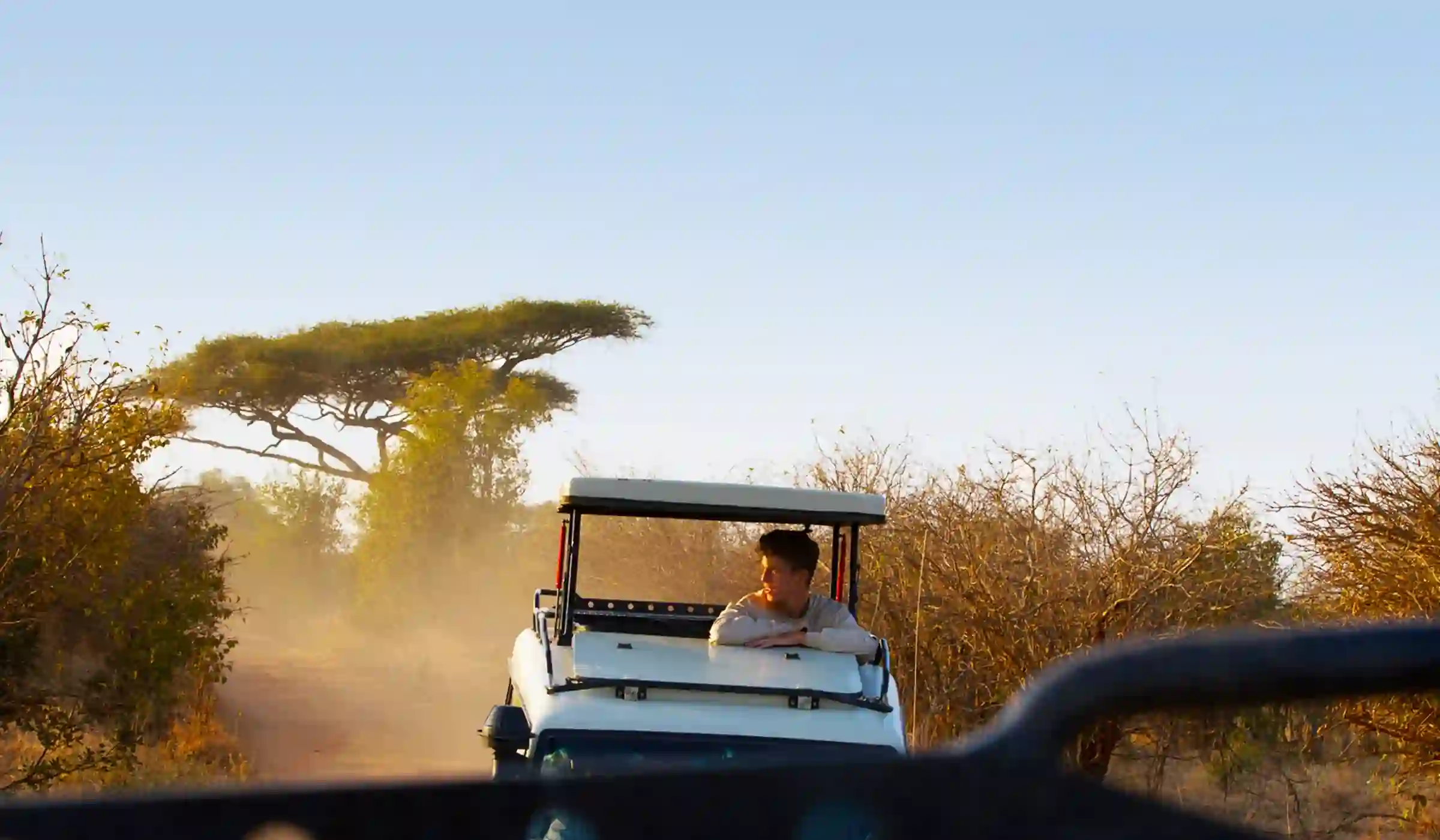 Tanzania Safari Tours