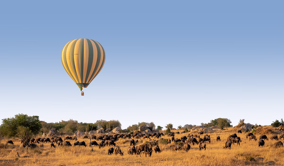 Things To Do In Tanzania