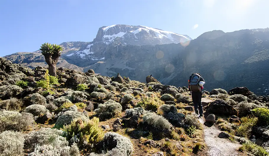 Kilimanjaro Route & Cost Impact