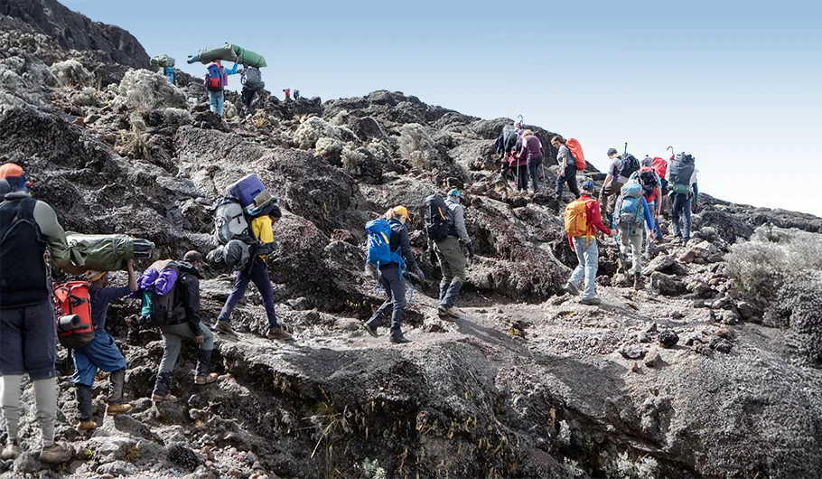 Responsible Operator