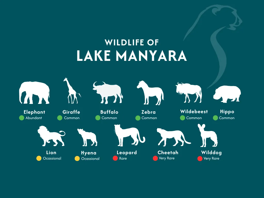Lake Manyara National Park Wildlife