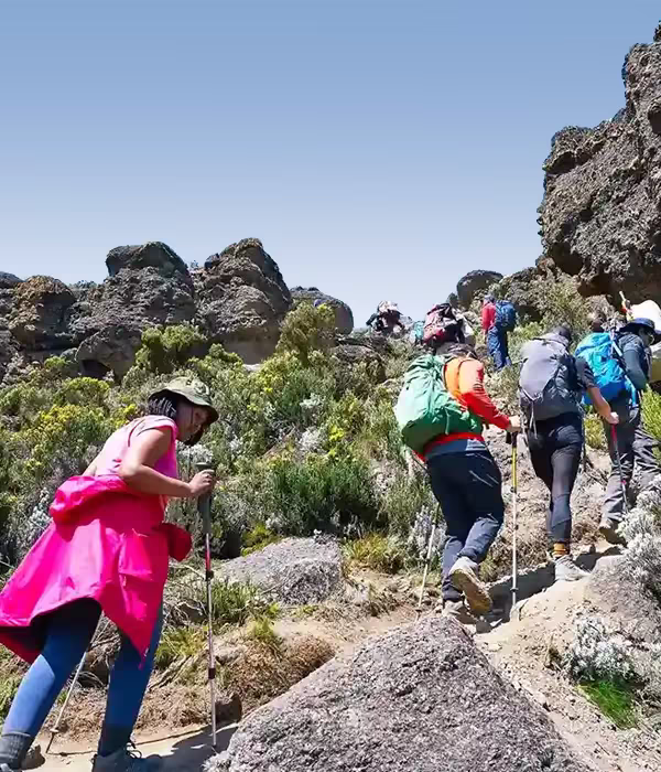 7 Days Machame Route