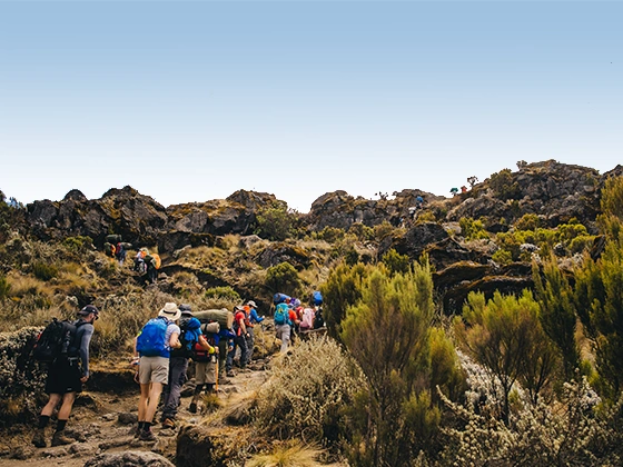 9 Days Machame Climbs