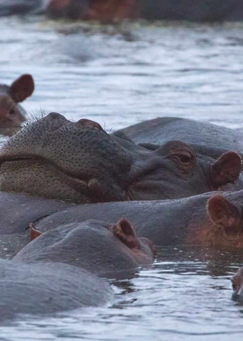 Ngorongoro Conservation Area