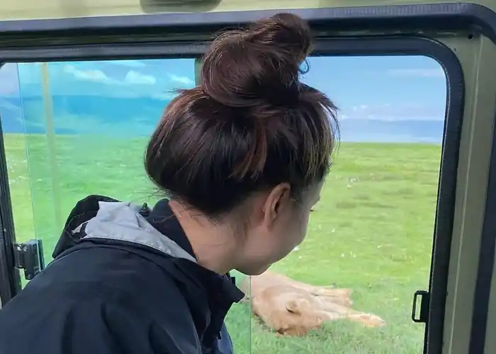 Our Tanzania Safari Fleet