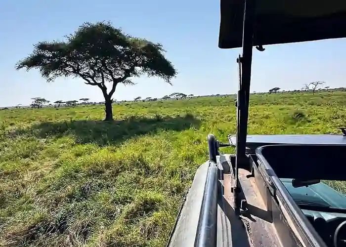 Our Tanzania Safari Fleet