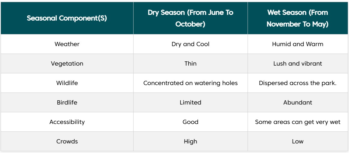 Best Time To Visit Lake Manyara National Park