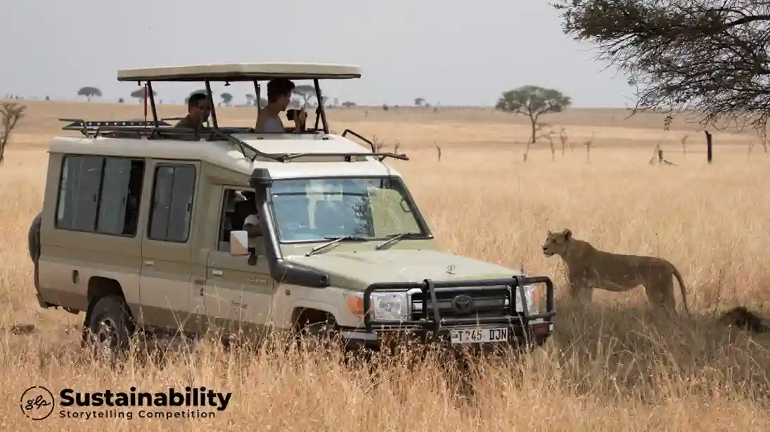 African Scenic Safaris