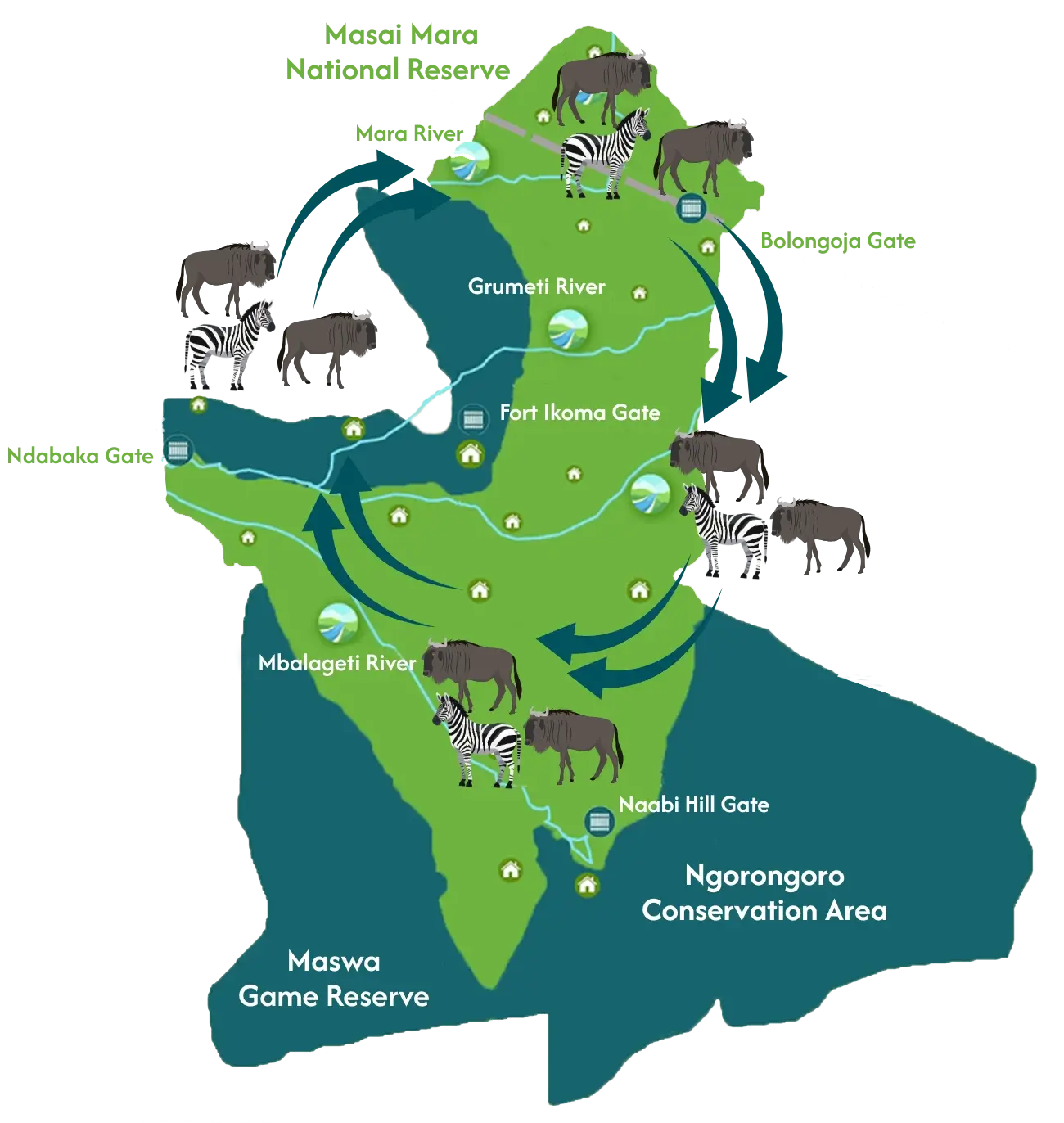 The Great Migration Serengeti