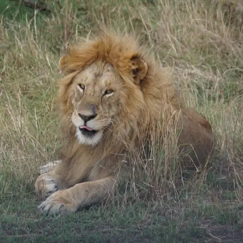 Serengeti National Park