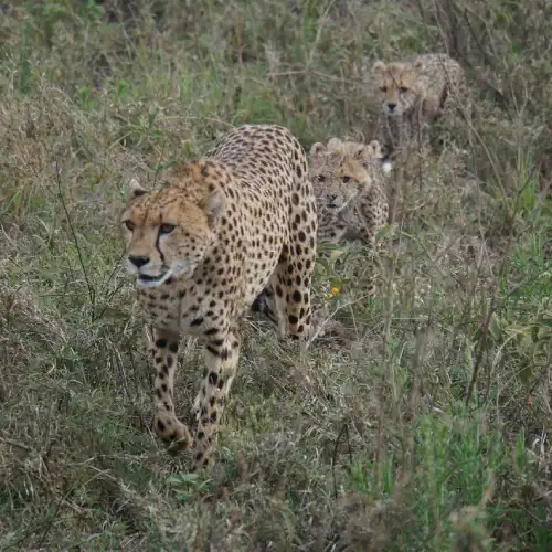 Serengeti National Park