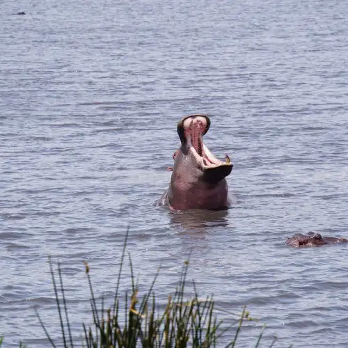 Serengeti National Park