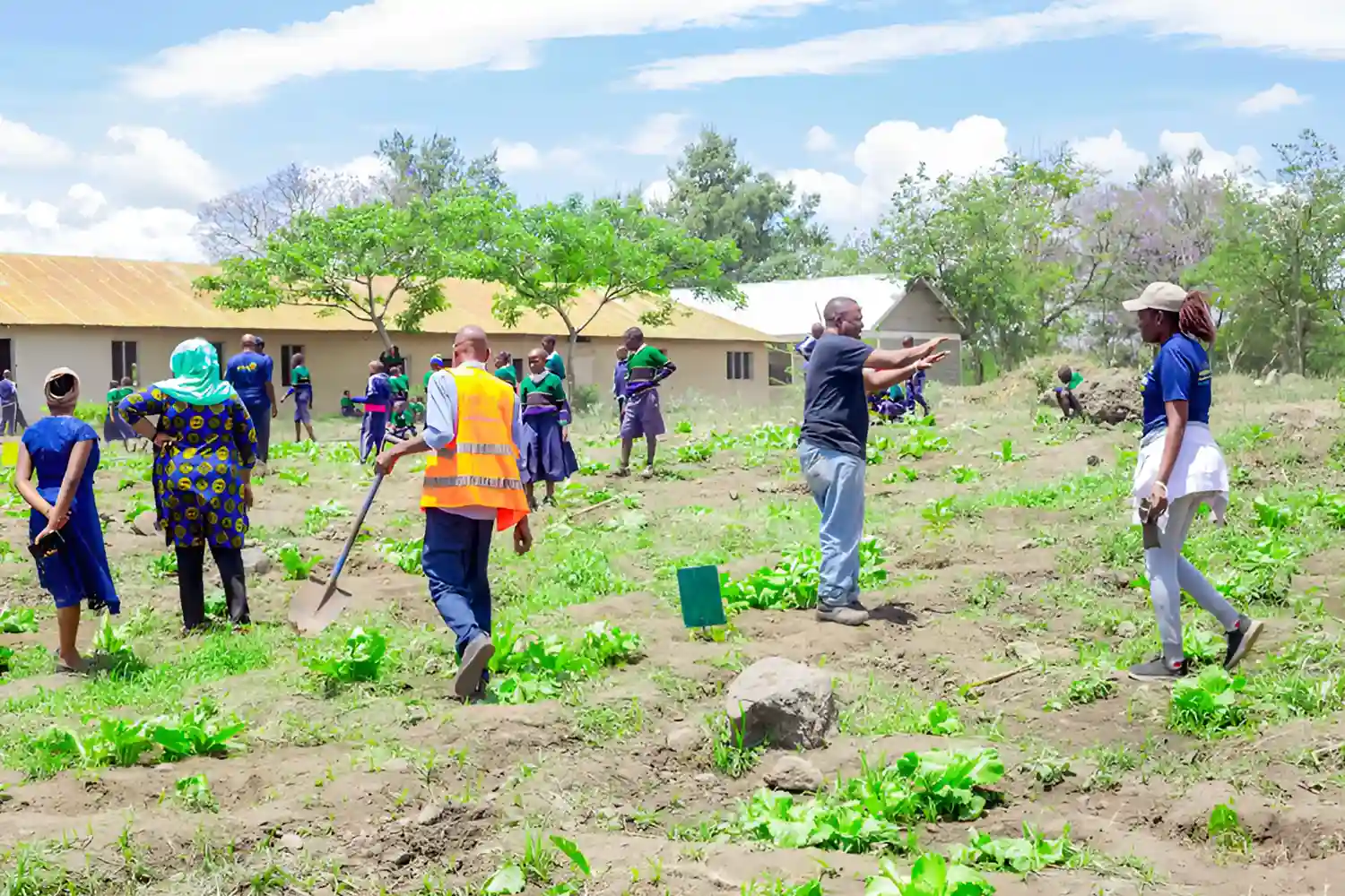 Social Responsibility