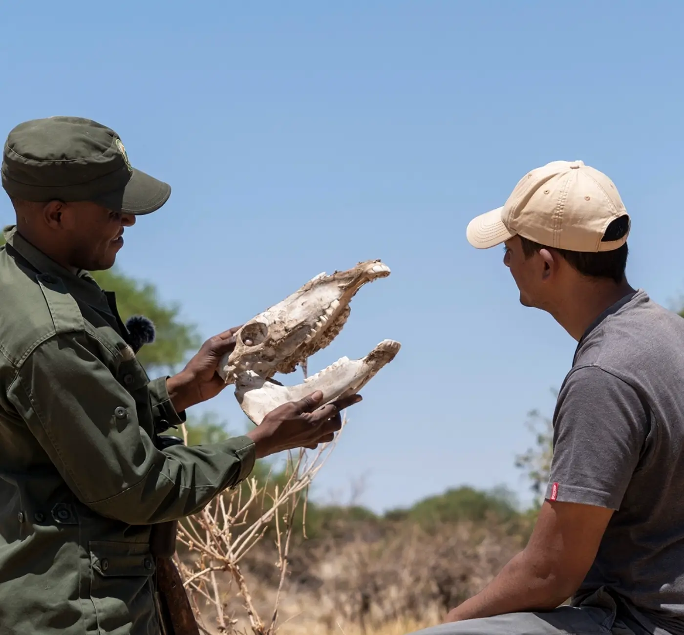 Southern Tanzania Safari