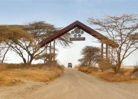 Tanzania Safari Packages