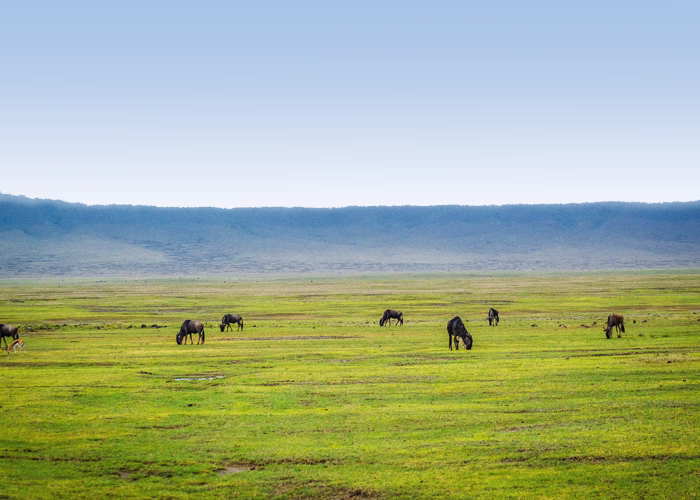 Tanzania Closer To Nature