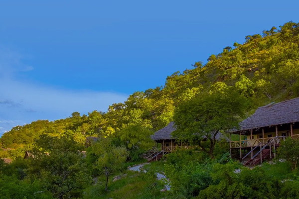 Tanzania Luxury Safari Stay