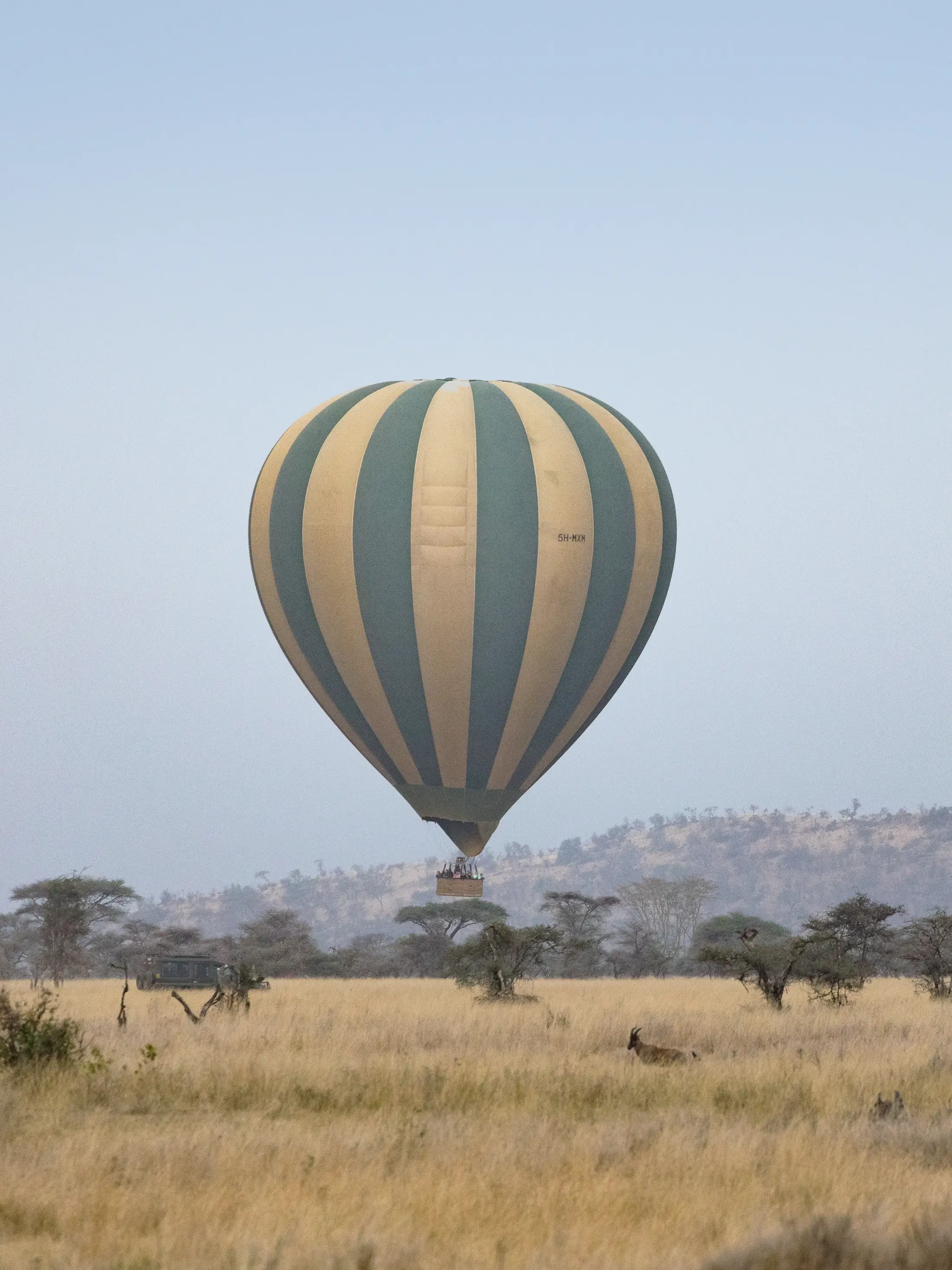 Serengeti National Parks
