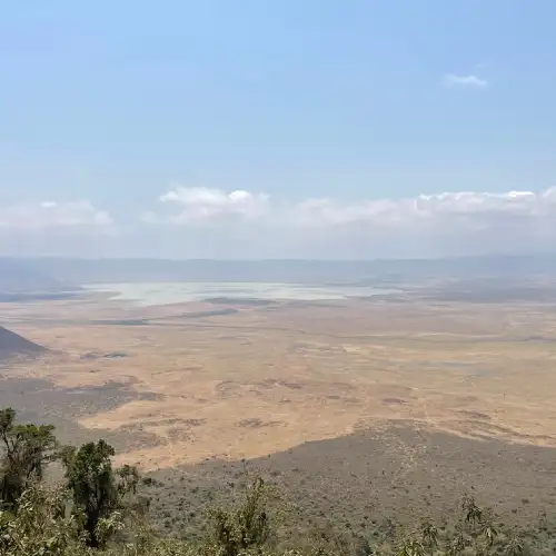 Tanzania Safari Packages